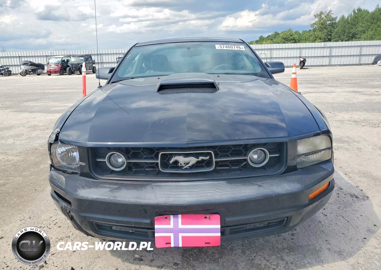 2008 Ford Mustang VIN:1ZVHT80N485198257 - 5