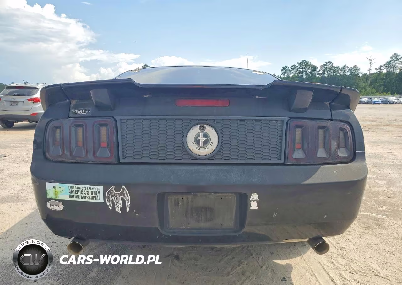 2008 Ford Mustang VIN:1ZVHT80N485198257 - 6