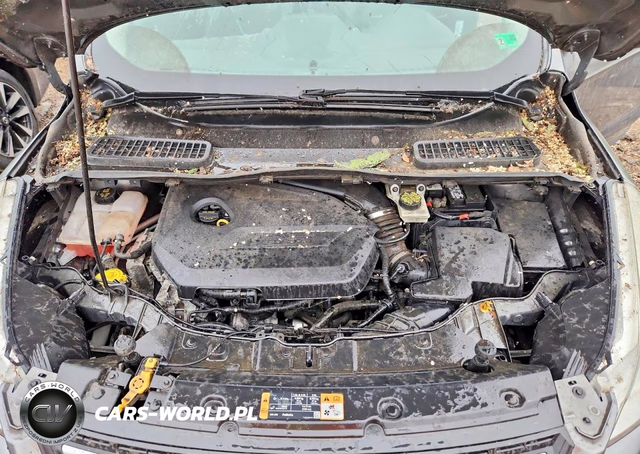 2014 Ford Escape Se VIN:1FMCU9GX0EUE22421 - 11