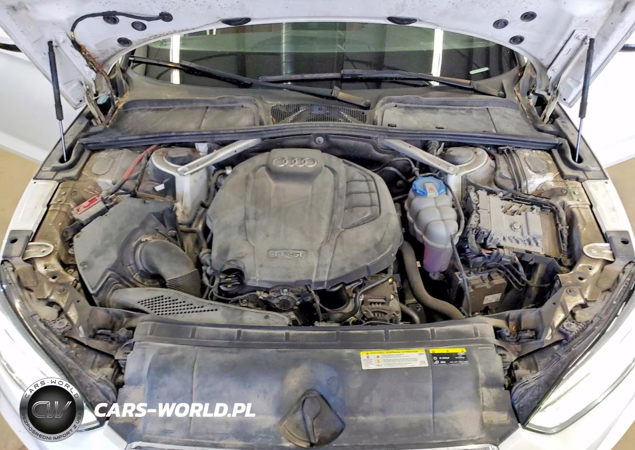 2019 Audi A5 Premium Plus S-Line VIN:WAUENCF54KA024940 - 11