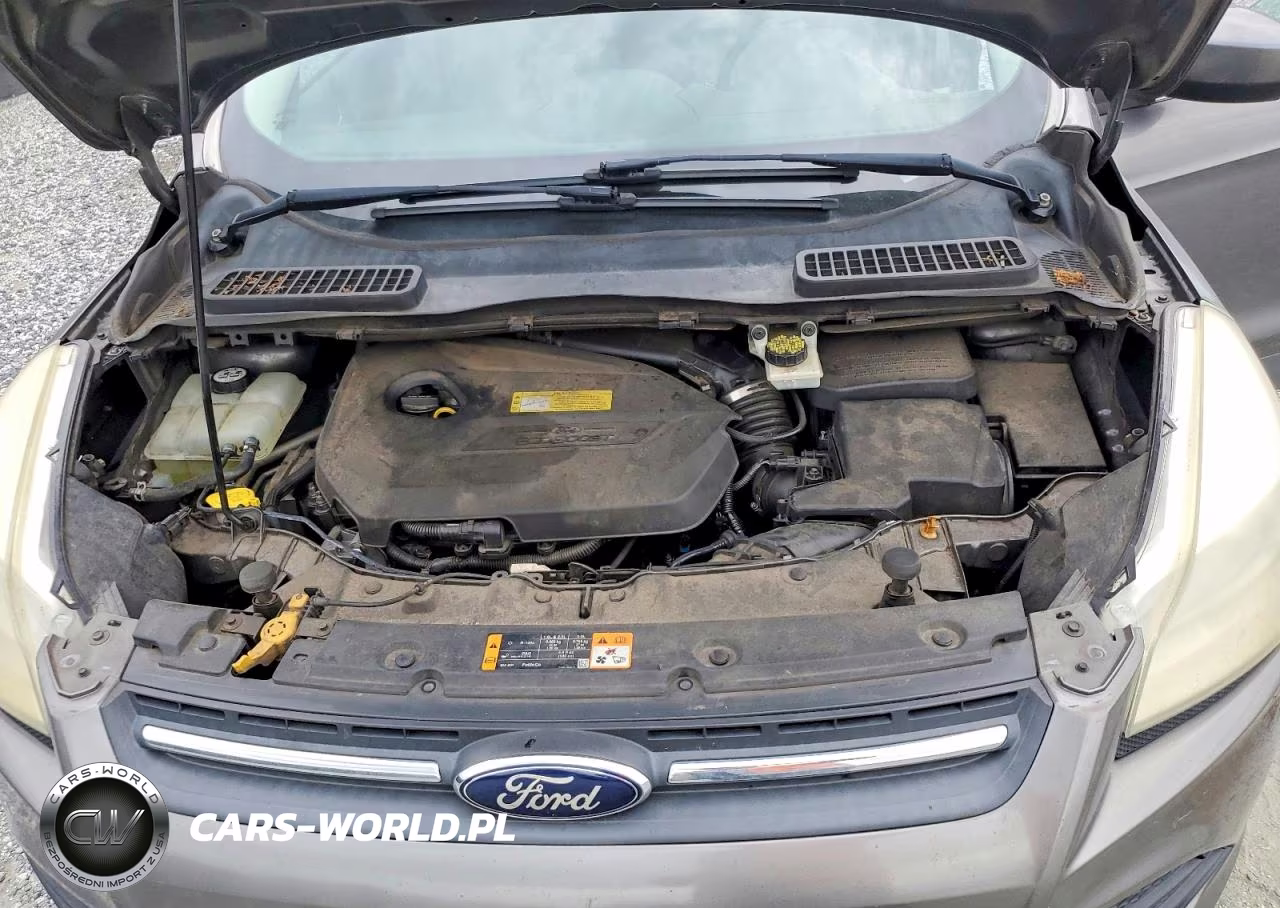 2013 Ford Escape Se VIN:1FMCU0GX7DUD14940 - 12