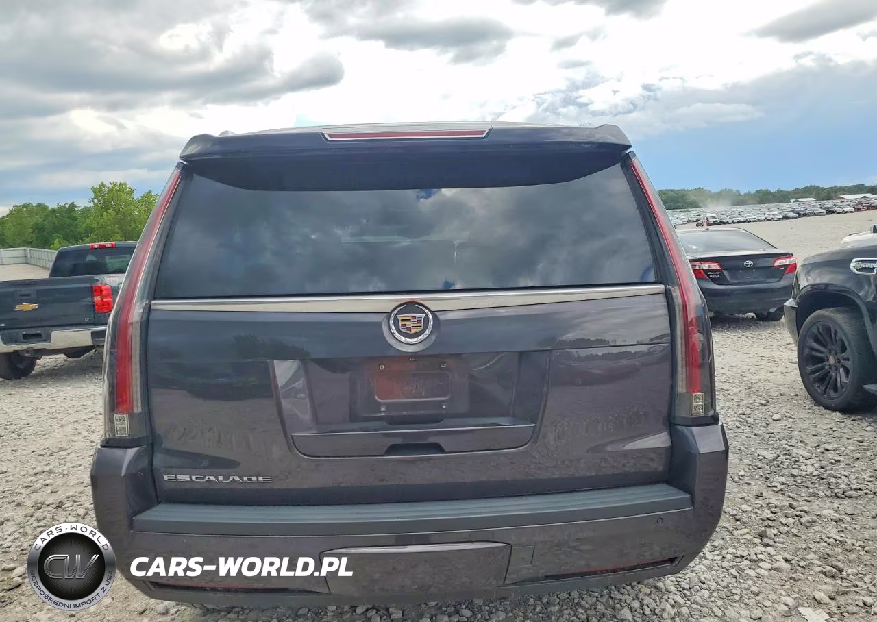 2015 Cadillac Escalade Luxury VIN:1GYS4BKJ8FR308675 - 6