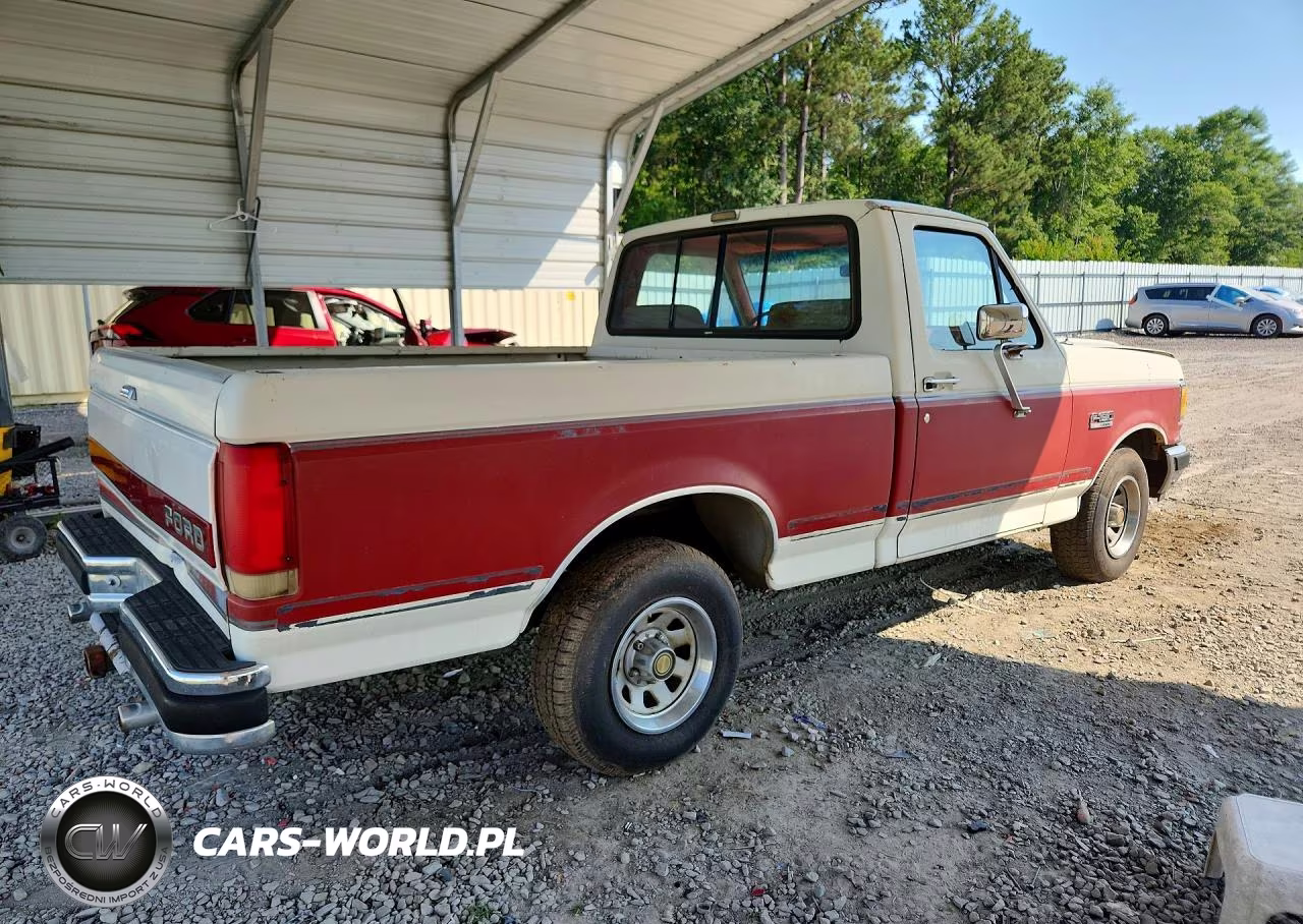 1991 Ford F150 VIN:1FTDF15NXMNA02275 - 3