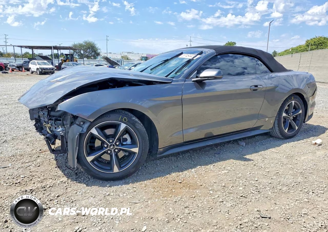 2019 Ford Mustang