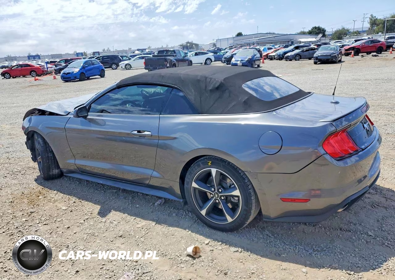 2019 Ford Mustang VIN:1FATP8UH8K5188270 - 2