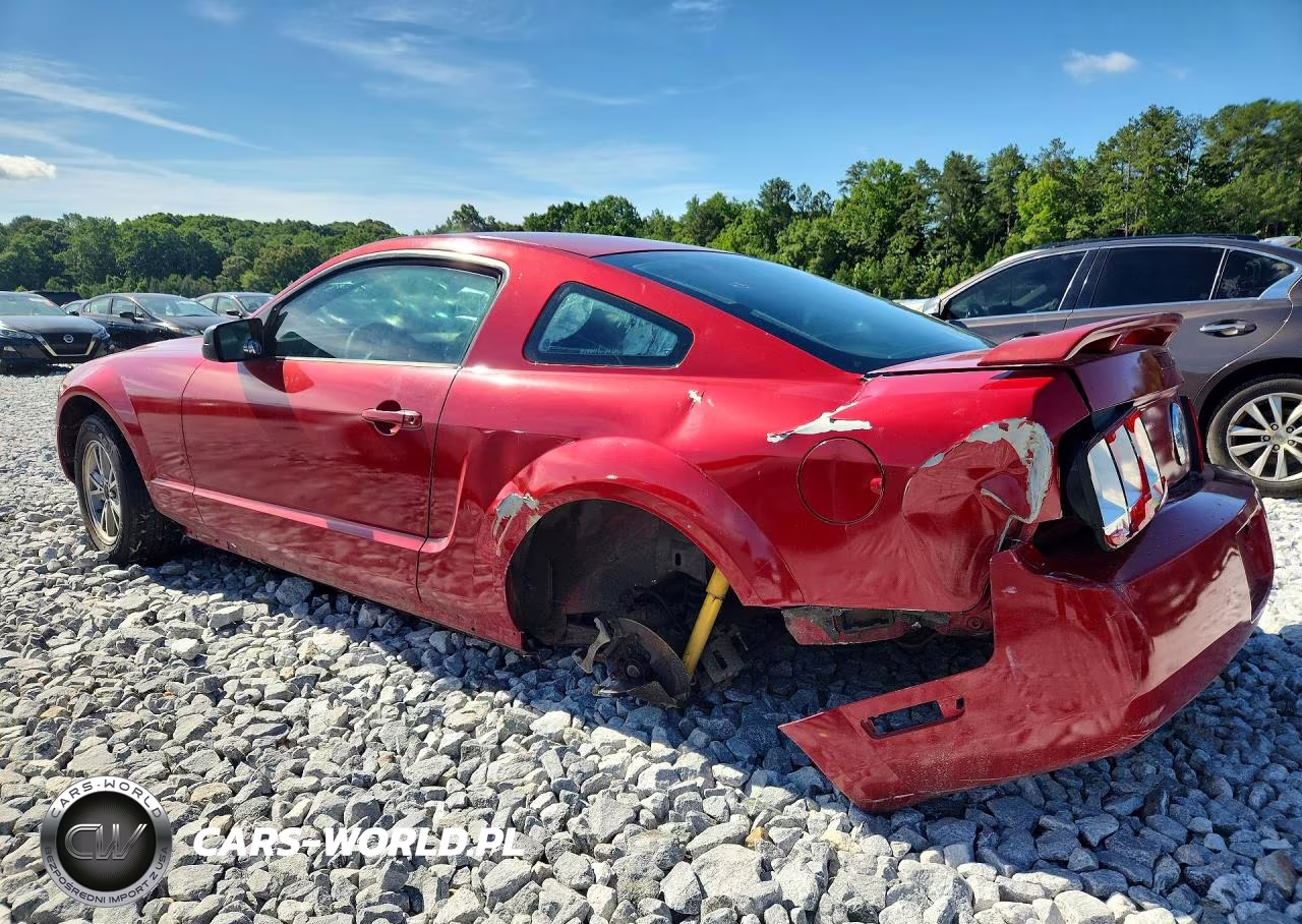 2005 Ford Mustang VIN:1ZVFT80N155116312 - 2