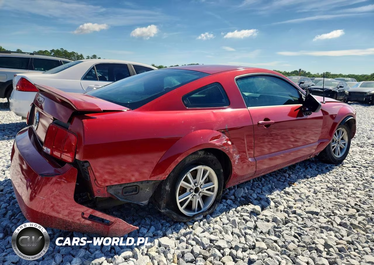 2005 Ford Mustang VIN:1ZVFT80N155116312 - 3