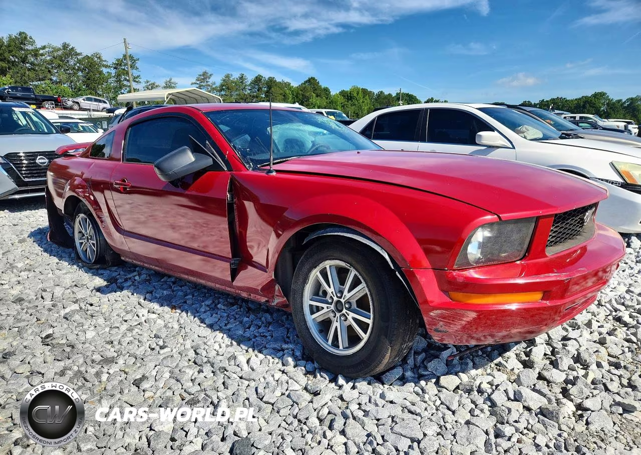 2005 Ford Mustang VIN:1ZVFT80N155116312 - 4
