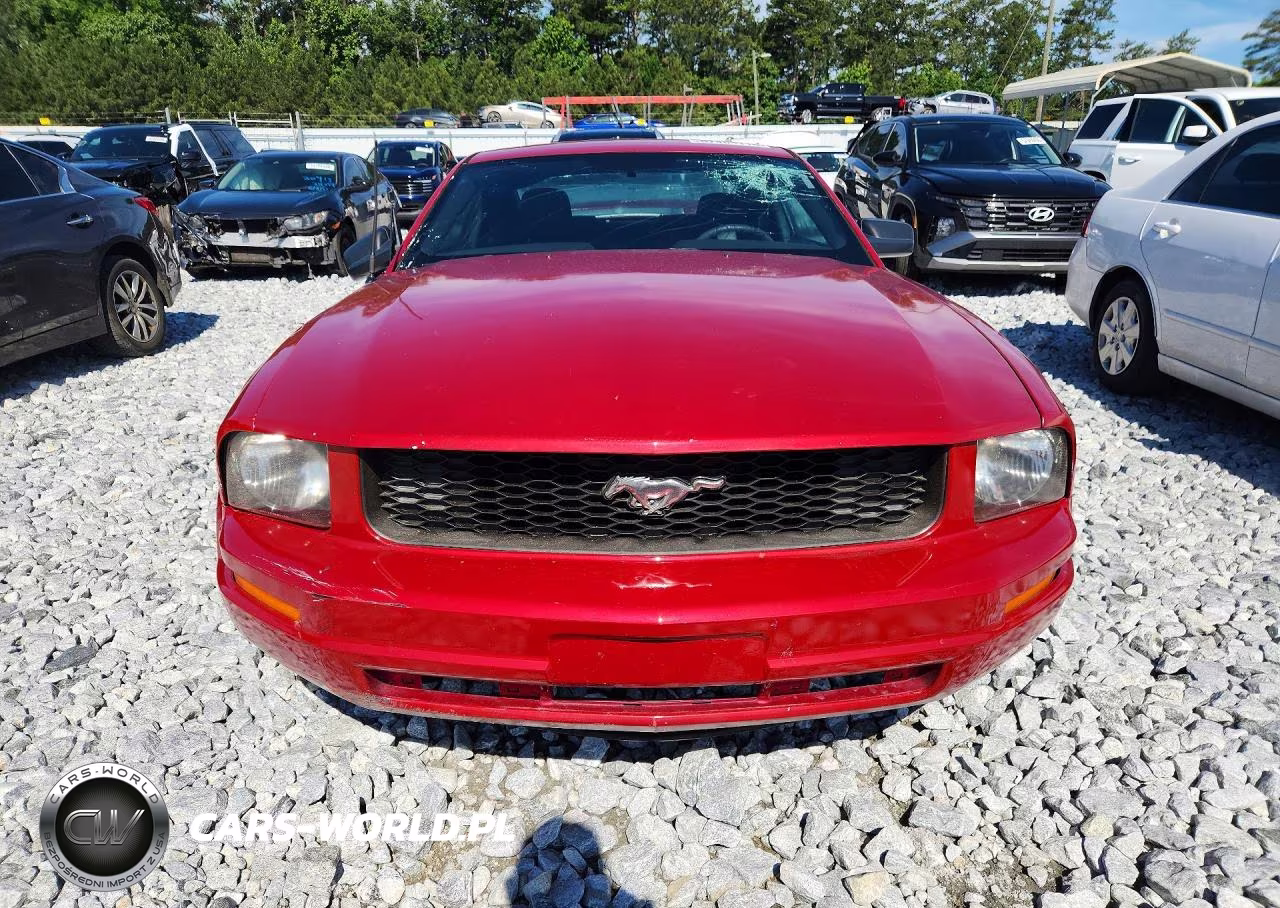 2005 Ford Mustang VIN:1ZVFT80N155116312 - 5