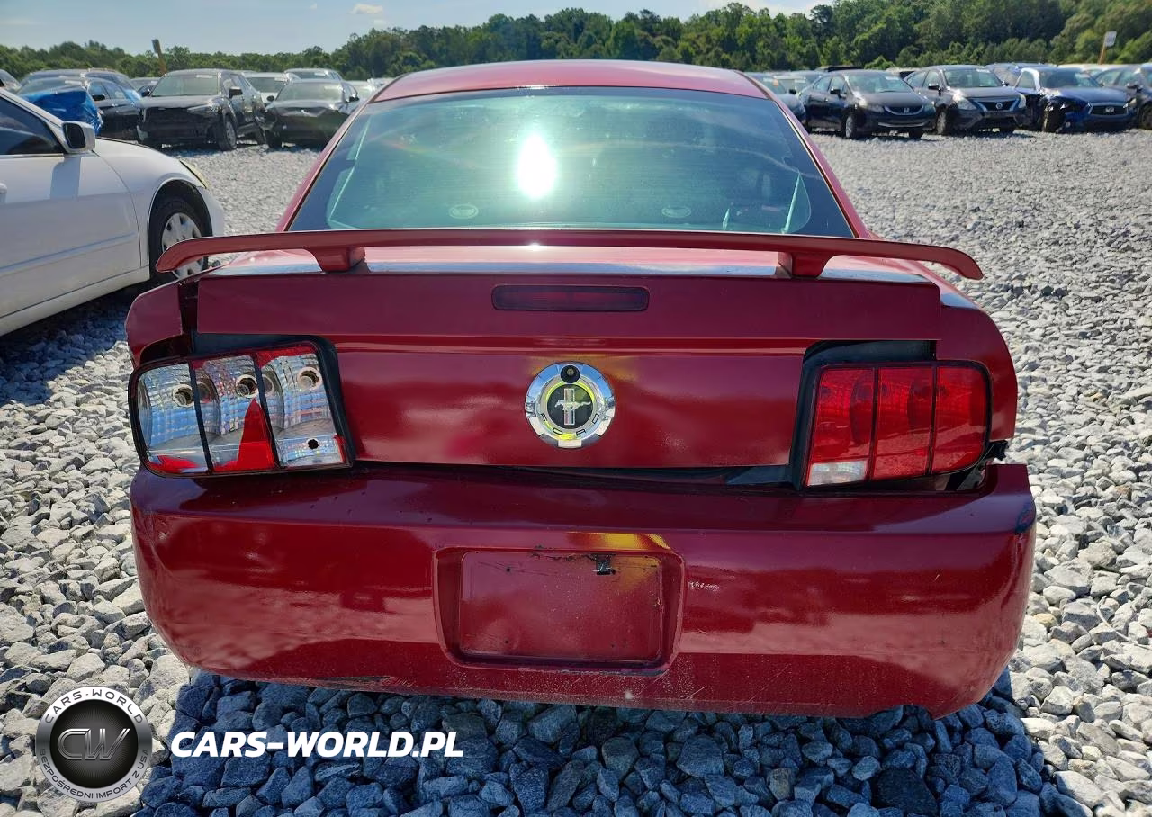 2005 Ford Mustang VIN:1ZVFT80N155116312 - 6