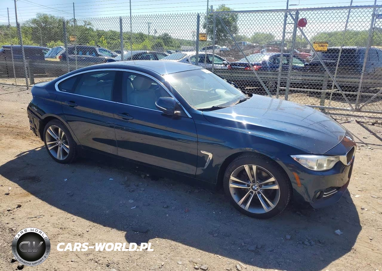 2016 BMW 428 Xi Gran Coupe Sulev VIN:WBA4C9C52GG140697 - 4