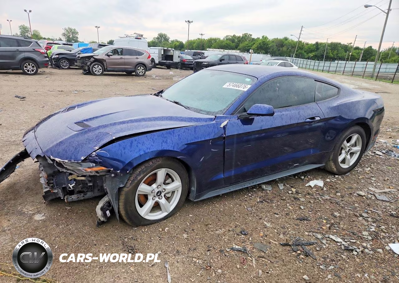 2019 Ford Mustang VIN:1FA6P8TH0K5192134 - 1