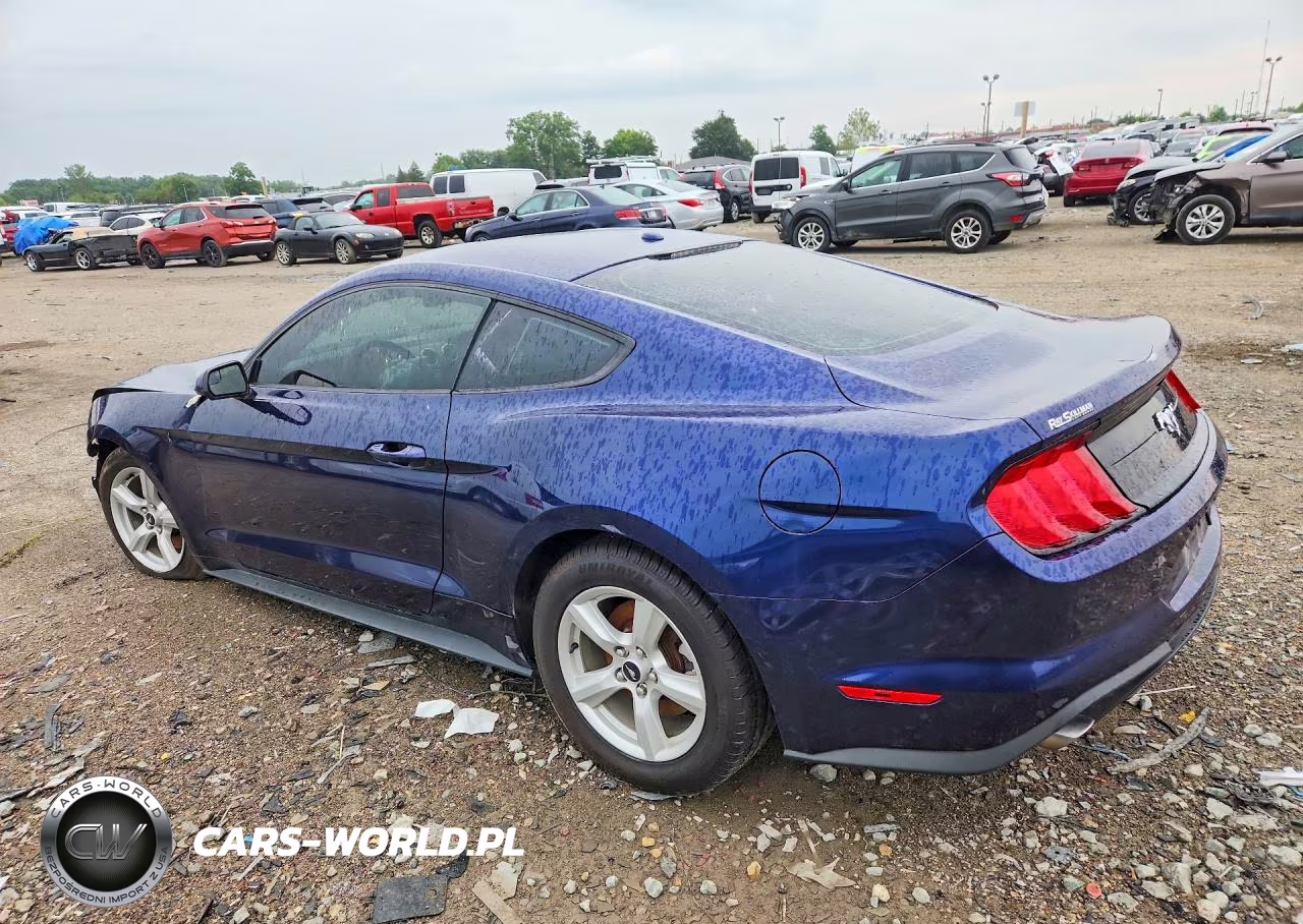 2019 Ford Mustang VIN:1FA6P8TH0K5192134 - 2