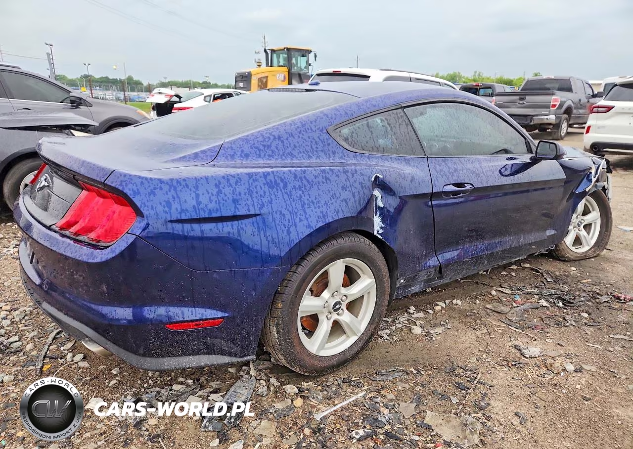 2019 Ford Mustang VIN:1FA6P8TH0K5192134 - 3