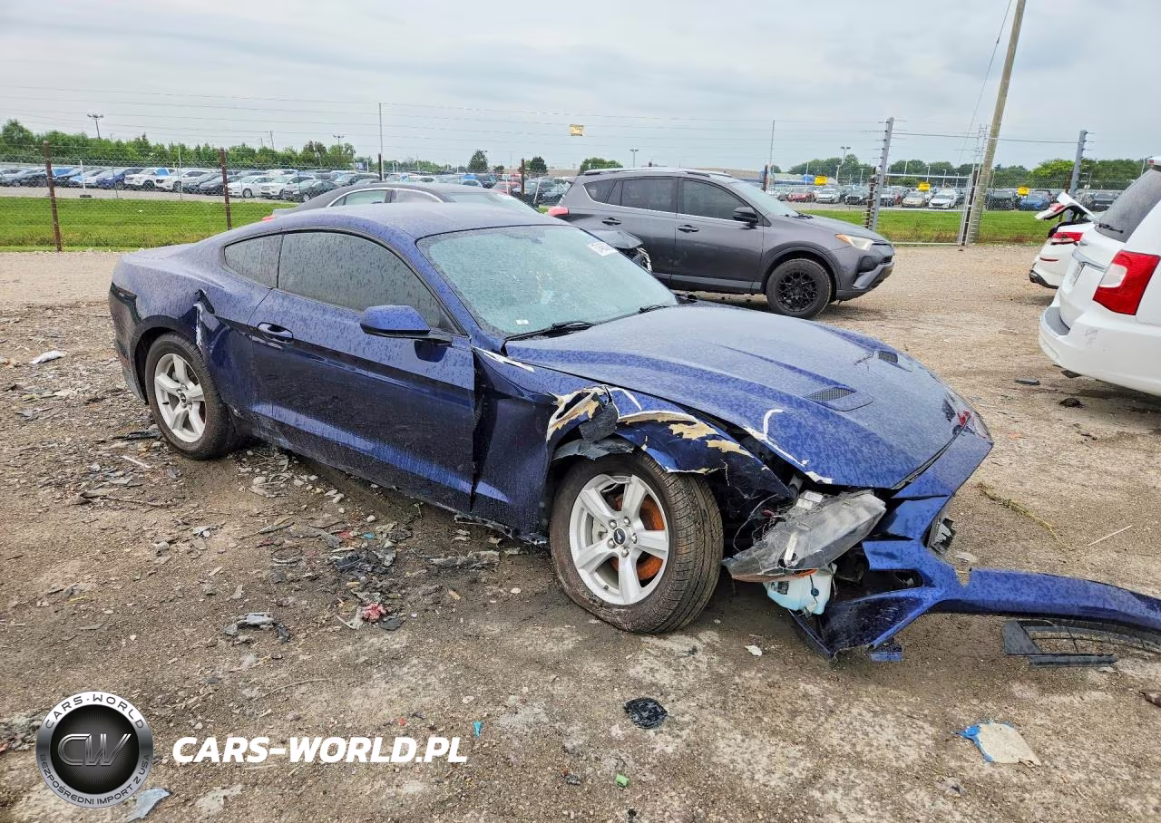 2019 Ford Mustang VIN:1FA6P8TH0K5192134 - 4