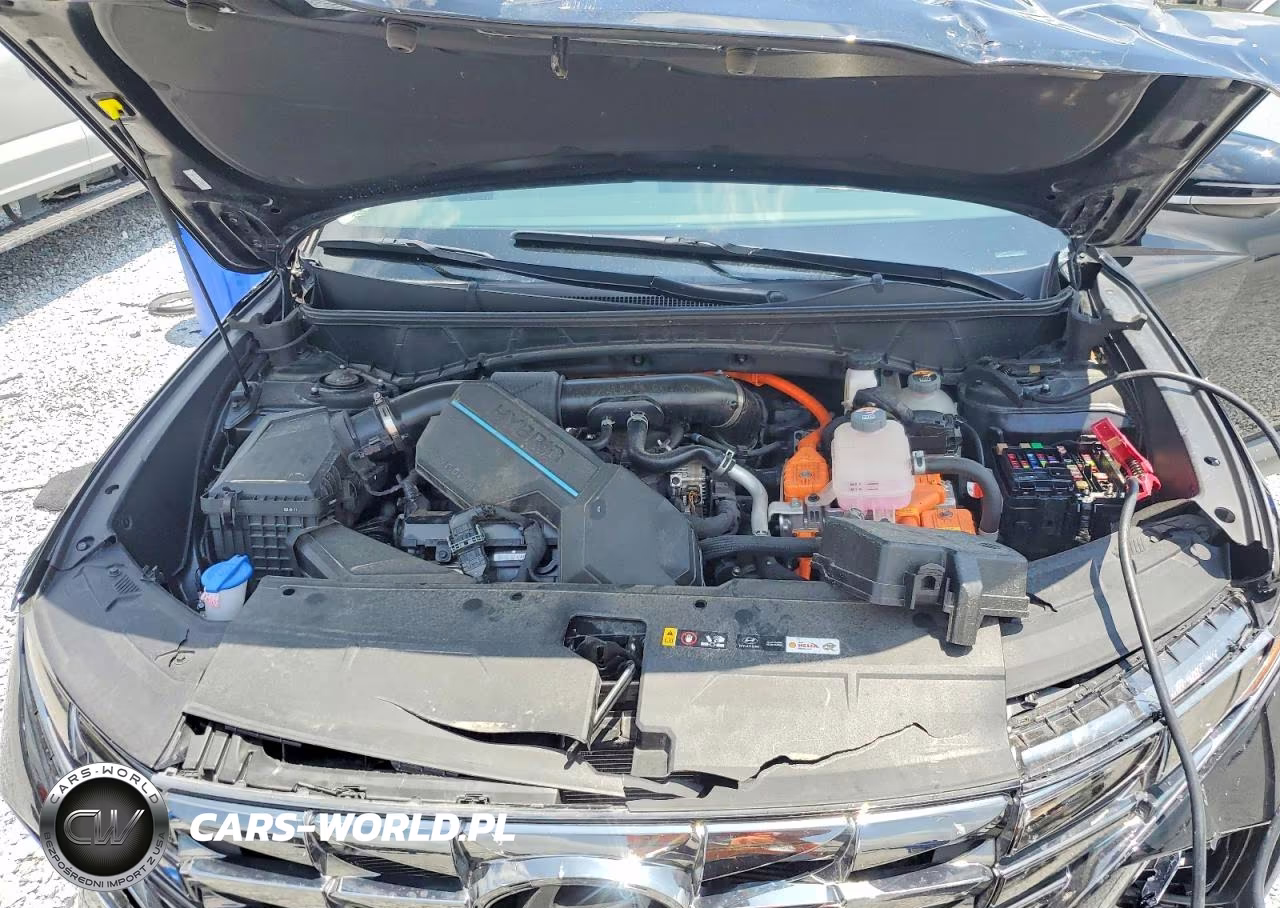 2024 Hyundai Tucson Limited VIN:KM8JECD14RU205252 - 12