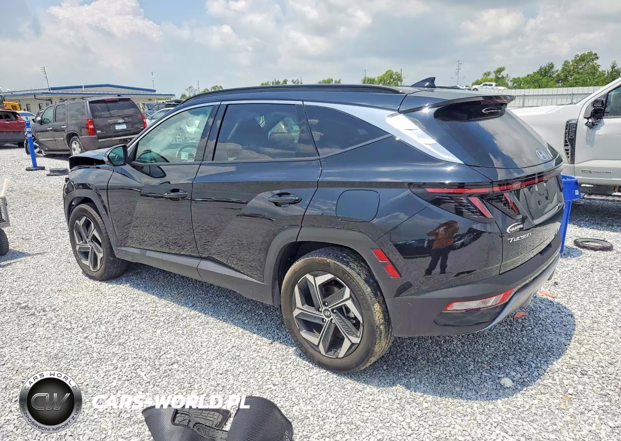 2024 Hyundai Tucson Limited VIN:KM8JECD14RU205252 - 2