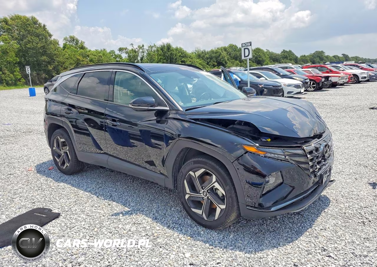 2024 Hyundai Tucson Limited VIN:KM8JECD14RU205252 - 4