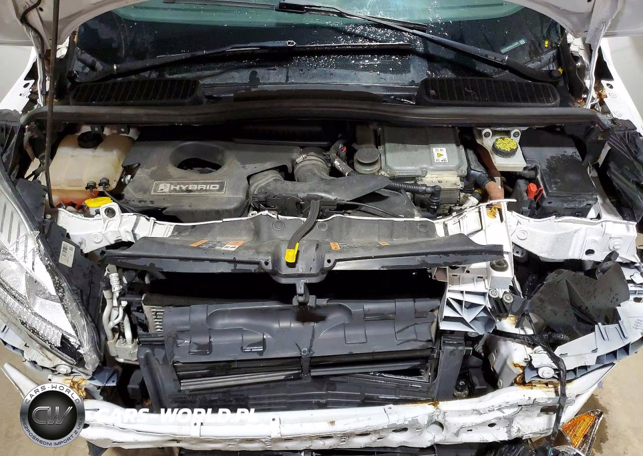 2018 Ford C-Max Se VIN:1FADP5AU9JL103323 - 12