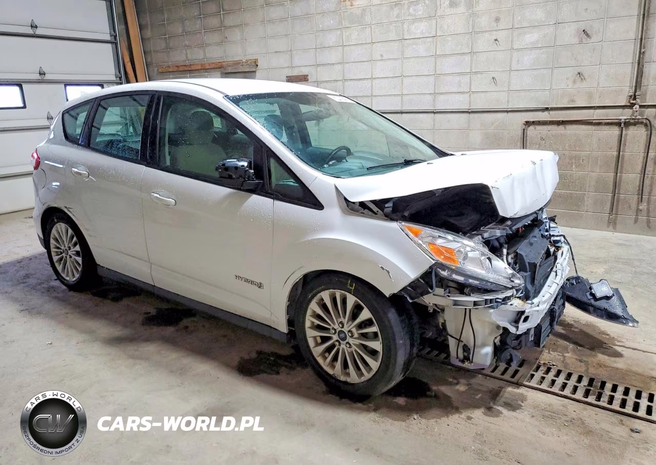 2018 Ford C-Max Se VIN:1FADP5AU9JL103323 - 4