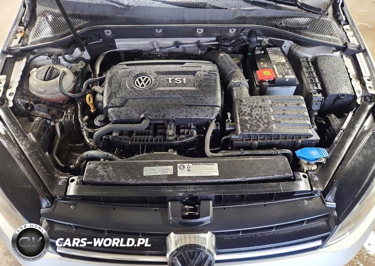 2016 Volkswagen Golf Sportwagen S VIN:3VWC17AU8GM511612 - 11