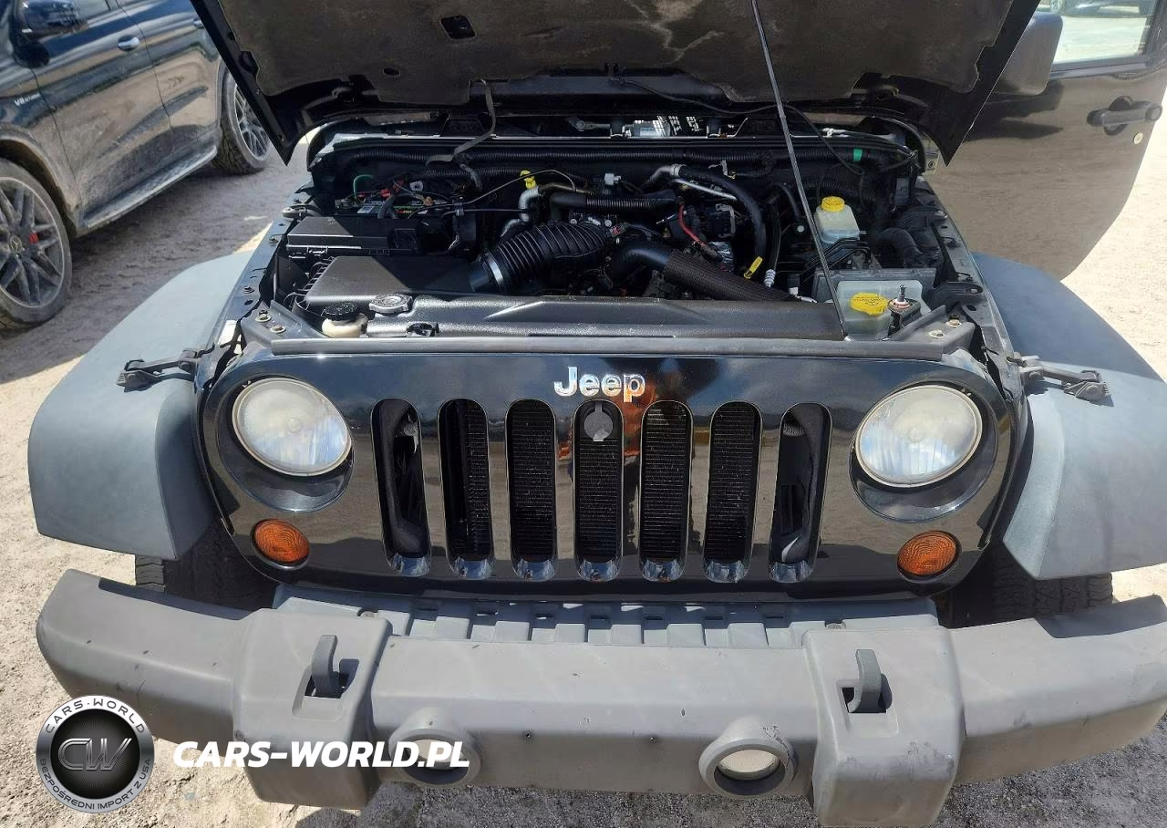 2010 Jeep Wrangler Unlimited Rubicon VIN:1J4HA6H12AL187929 - 12