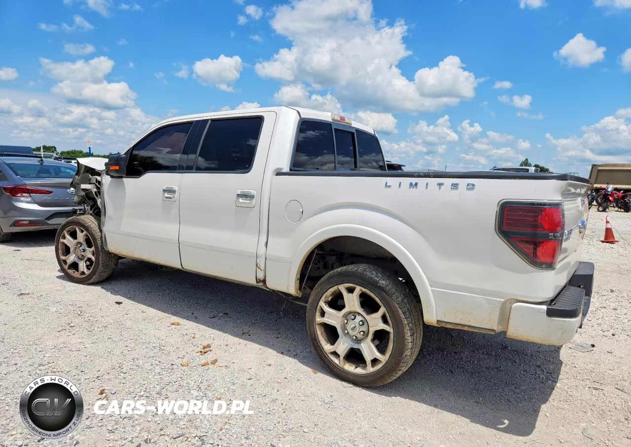 2011 Ford F150X VIN:1FTFW1E61BFA15800 - 2