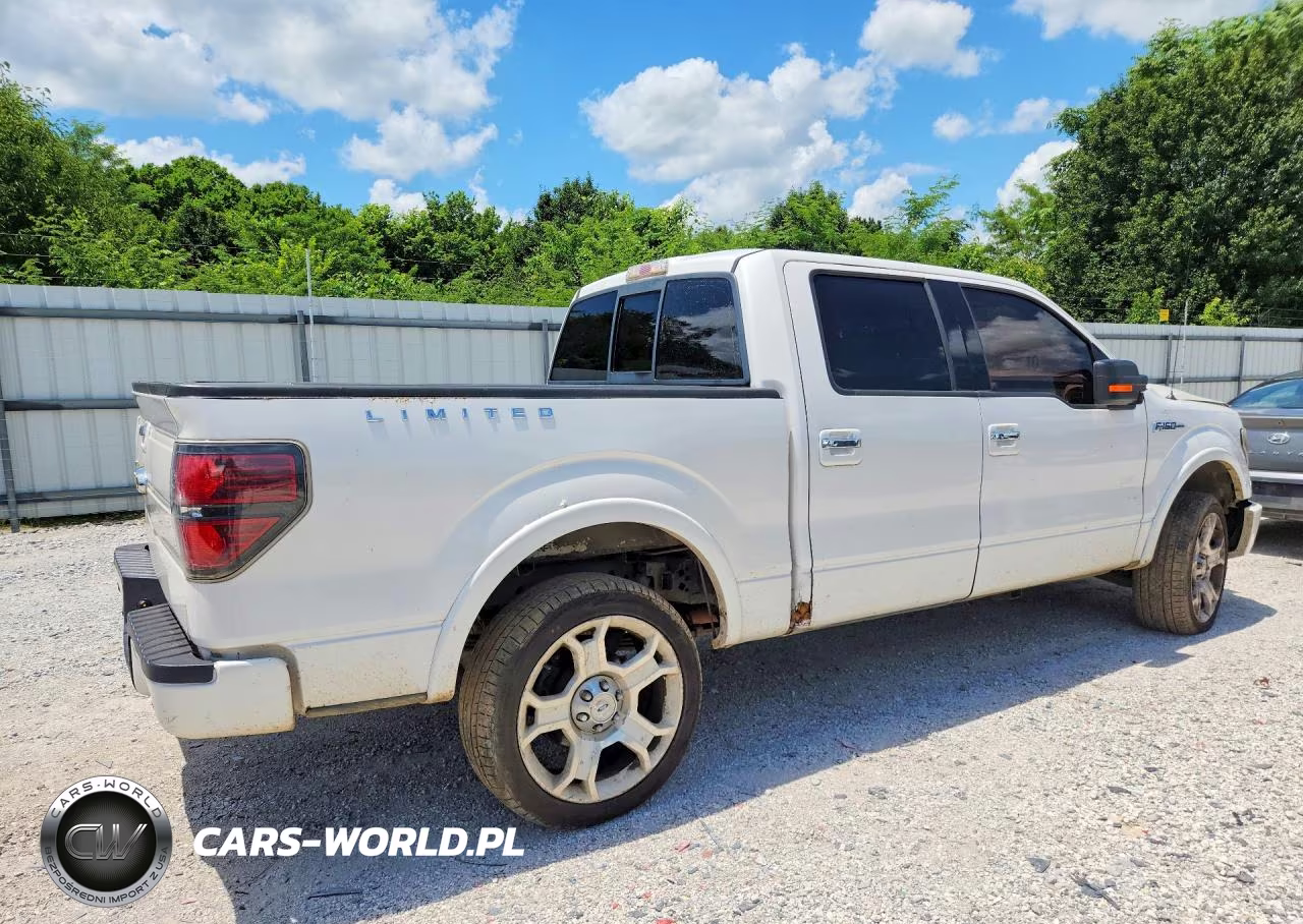 2011 Ford F150X VIN:1FTFW1E61BFA15800 - 3