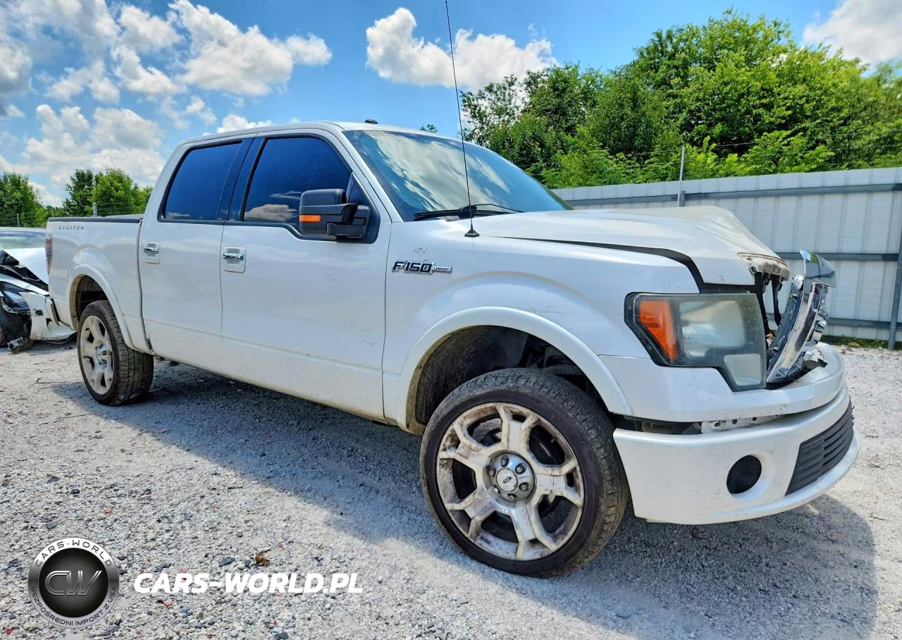 2011 Ford F150X VIN:1FTFW1E61BFA15800 - 4