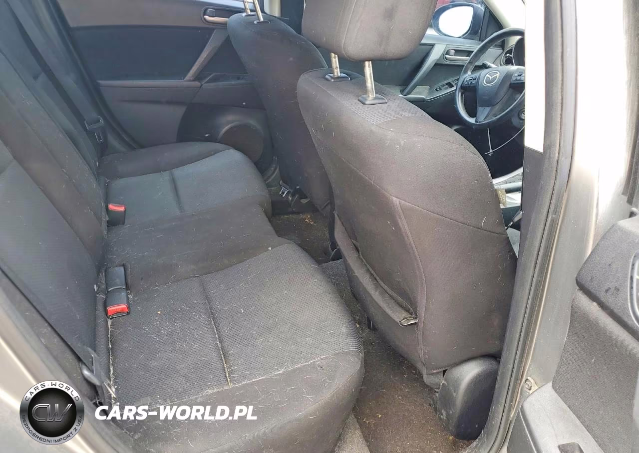 2010 Mazda 3 I VIN:JM1BL1SF7A1249799 - 10