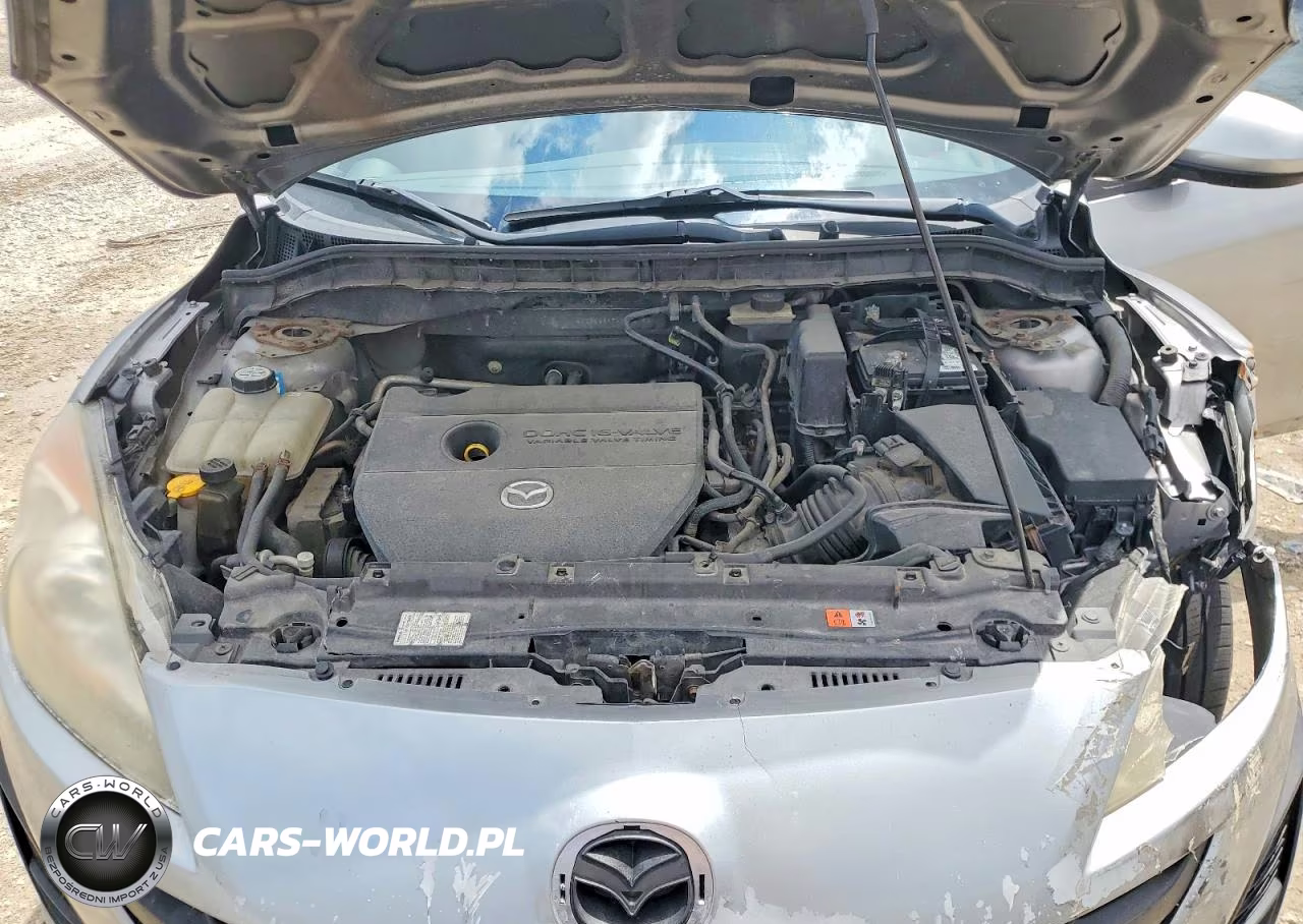 2010 Mazda 3 I VIN:JM1BL1SF7A1249799 - 11
