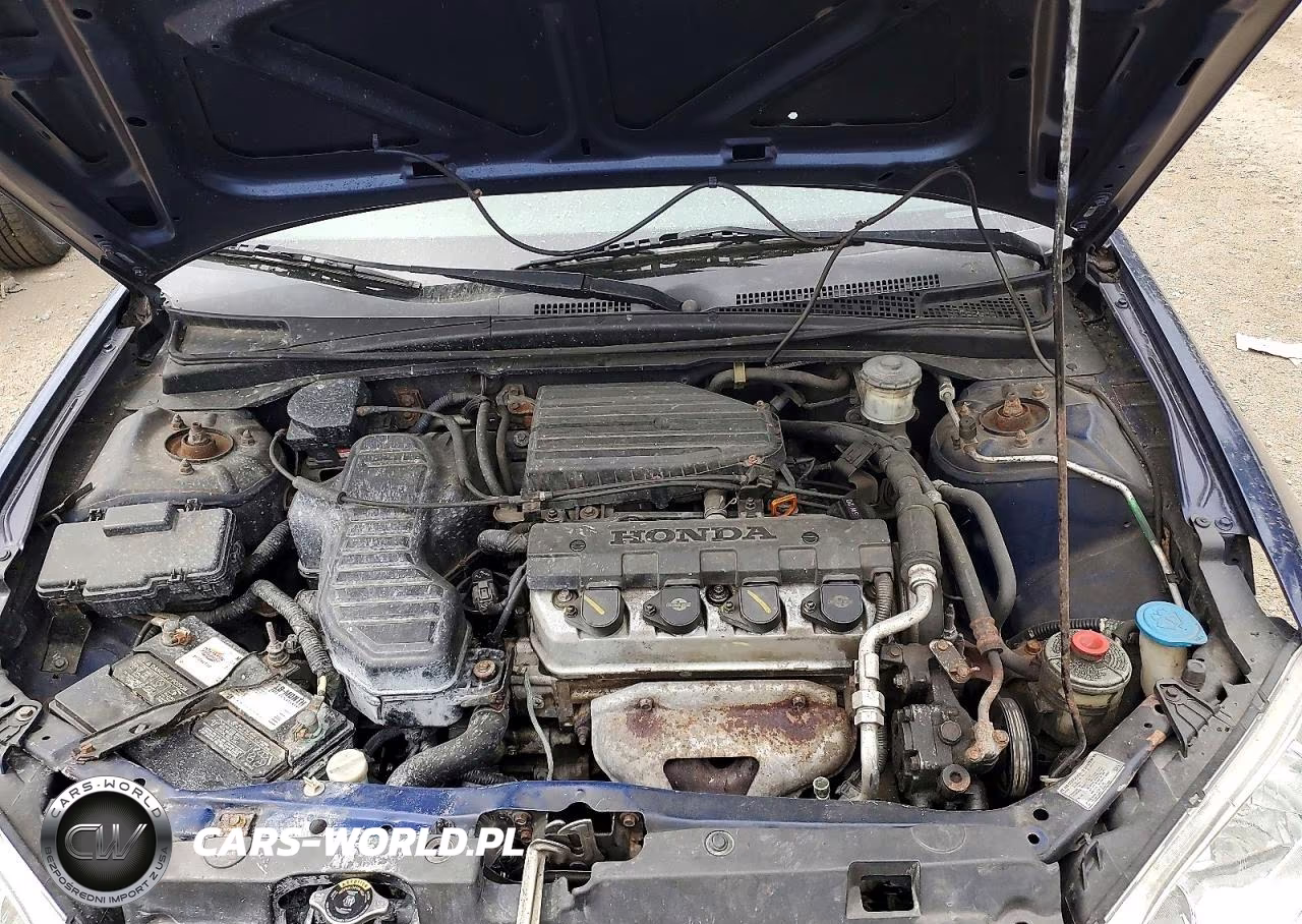 2005 Honda Civic Lx VIN:2HGES16565H564667 - 11