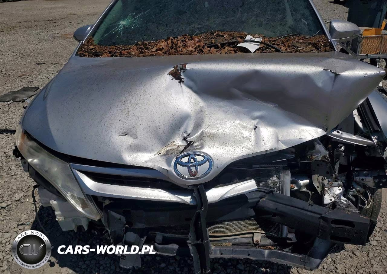 2013 Toyota Venza Xle VIN:4T3ZK3BB2DU053852 - 12