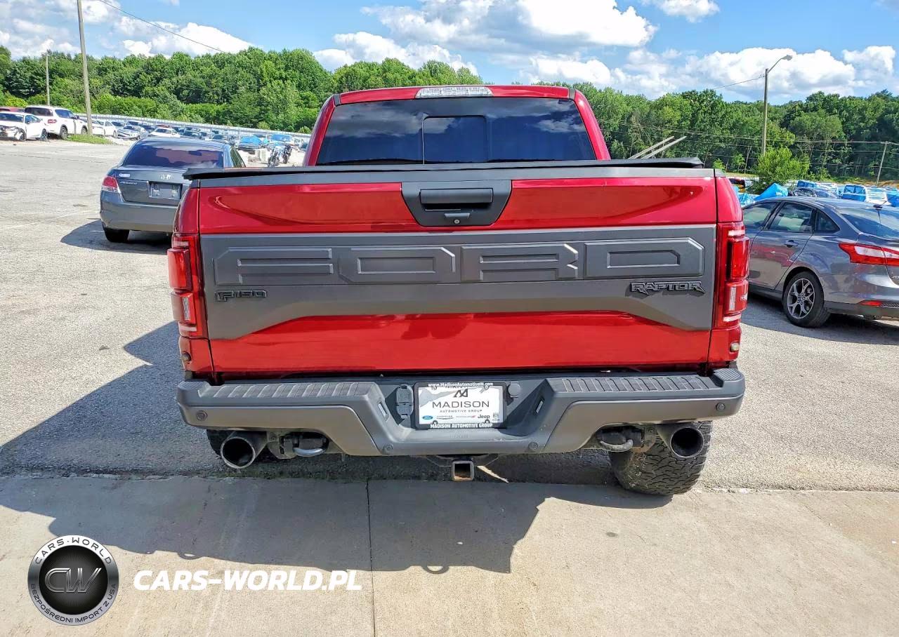2018 Ford F150 Raptor VIN:1FTFW1RGXJFB85431 - 6