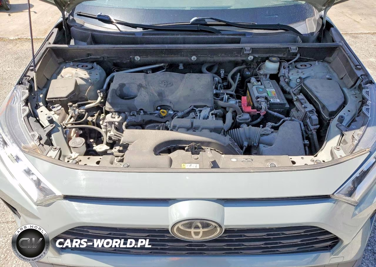 2019 Toyota Rav4 Xle VIN:JTMW1RFV2KD003248 - 12