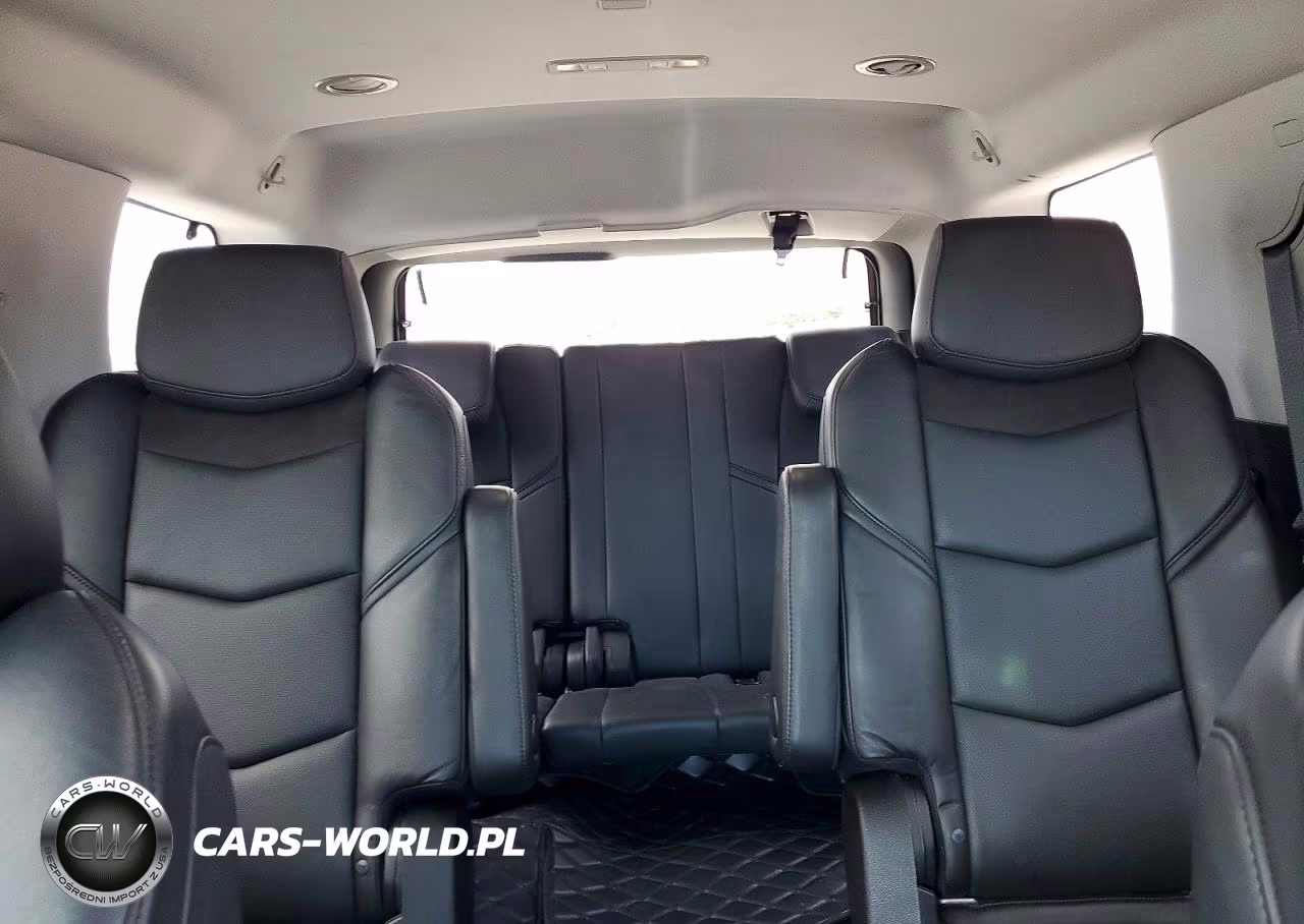2020 Cadillac Escalade Luxury VIN:1GYS3BKJ9LR223102 - 10