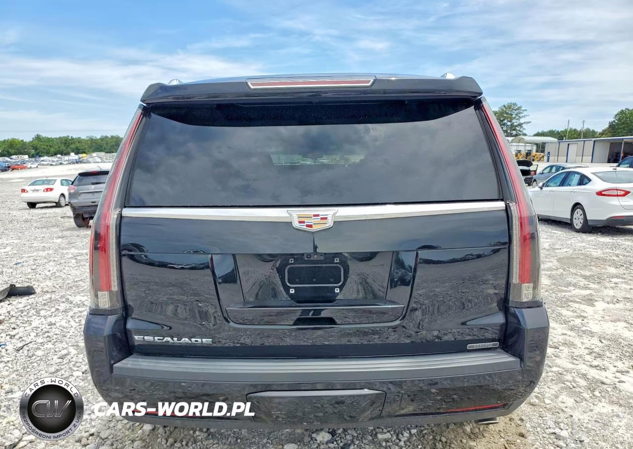 2020 Cadillac Escalade Luxury VIN:1GYS3BKJ9LR223102 - 6