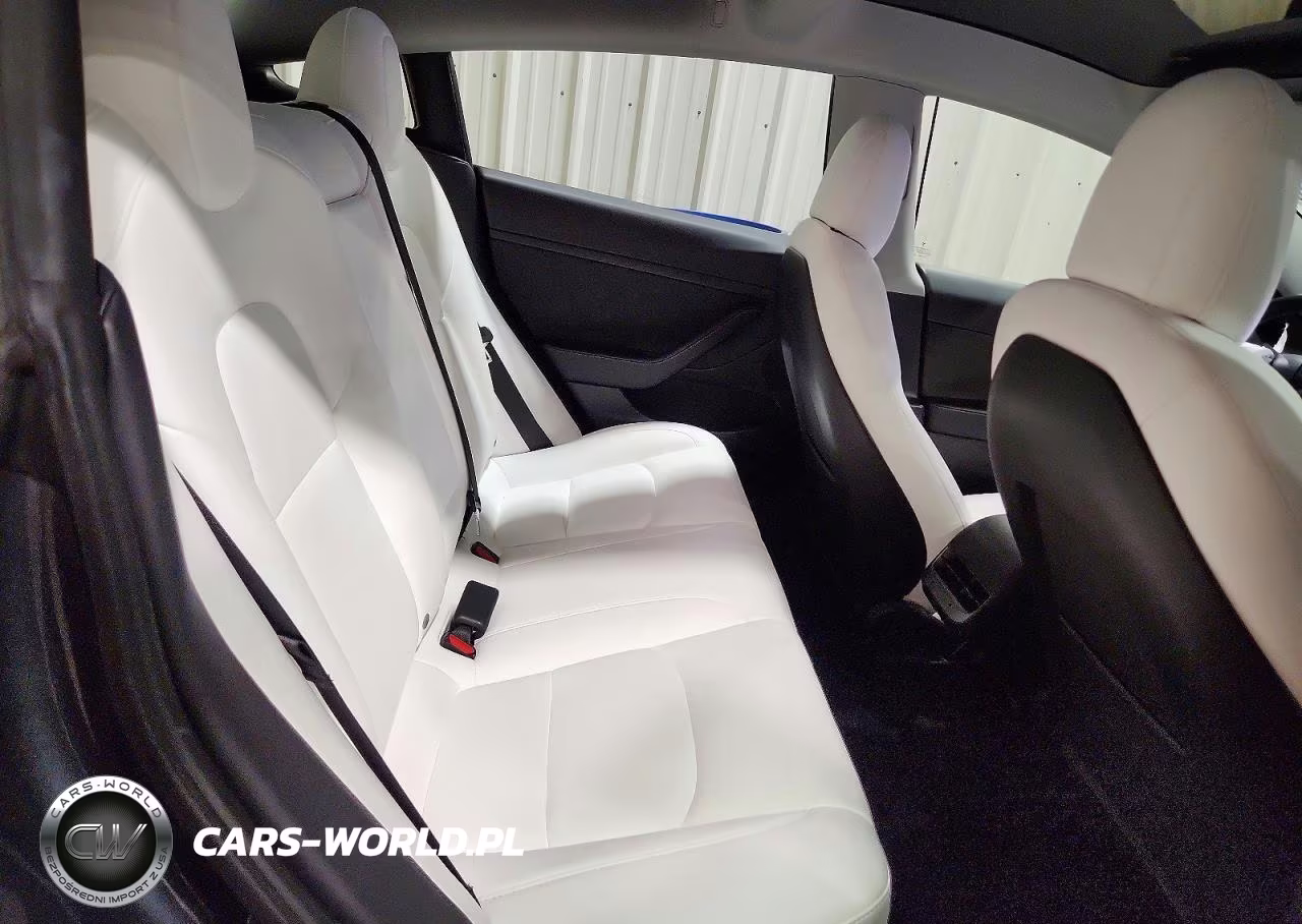2021 Tesla Model 3 VIN:5YJ3E1EB7MF981269 - 10