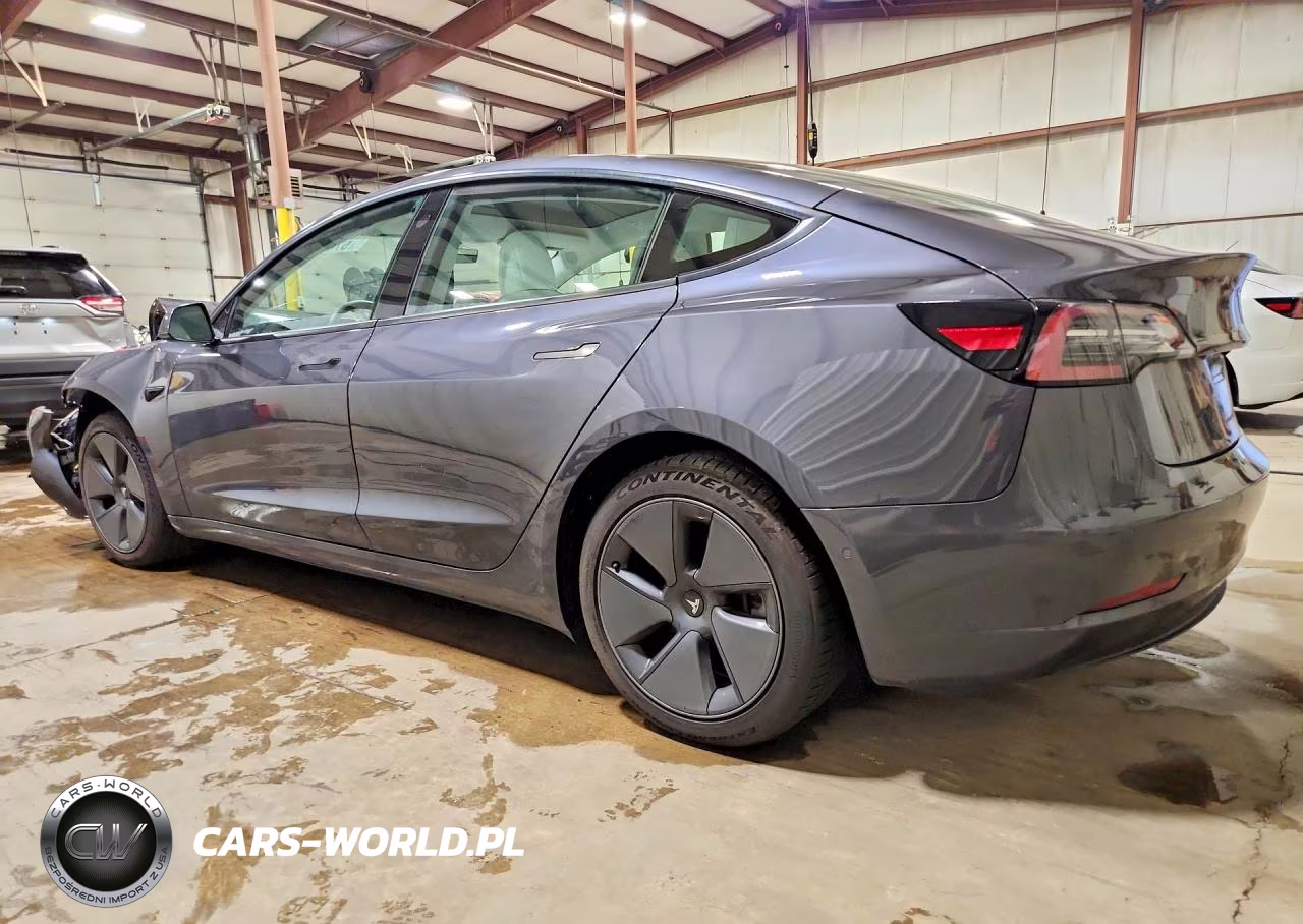 2021 Tesla Model 3 VIN:5YJ3E1EB7MF981269 - 2