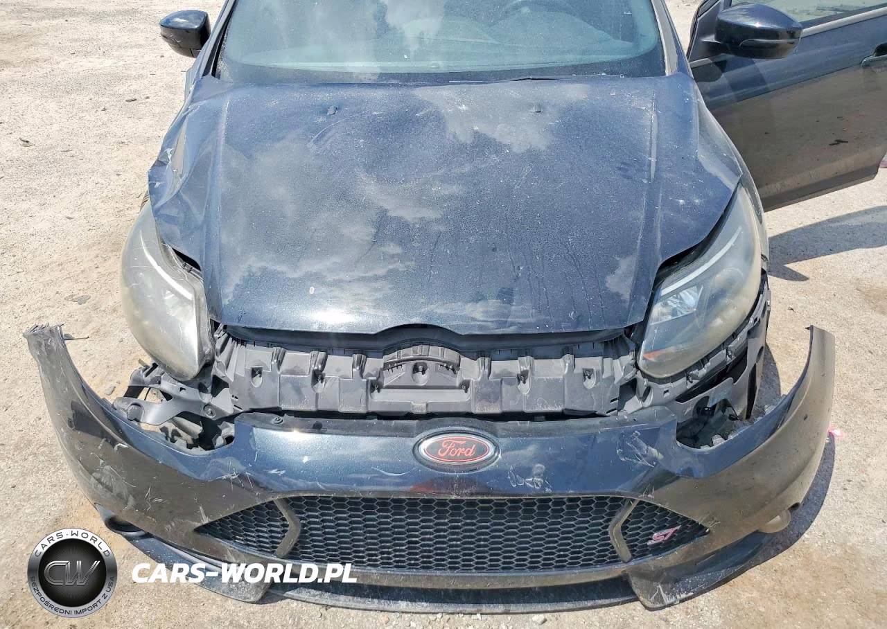 2014 Ford Focus St VIN:1FADP3L95EL401600 - 11