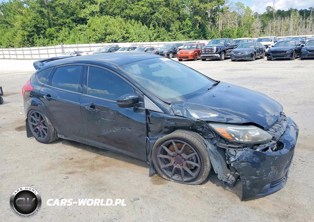 2014 Ford Focus St VIN:1FADP3L95EL401600 - 4