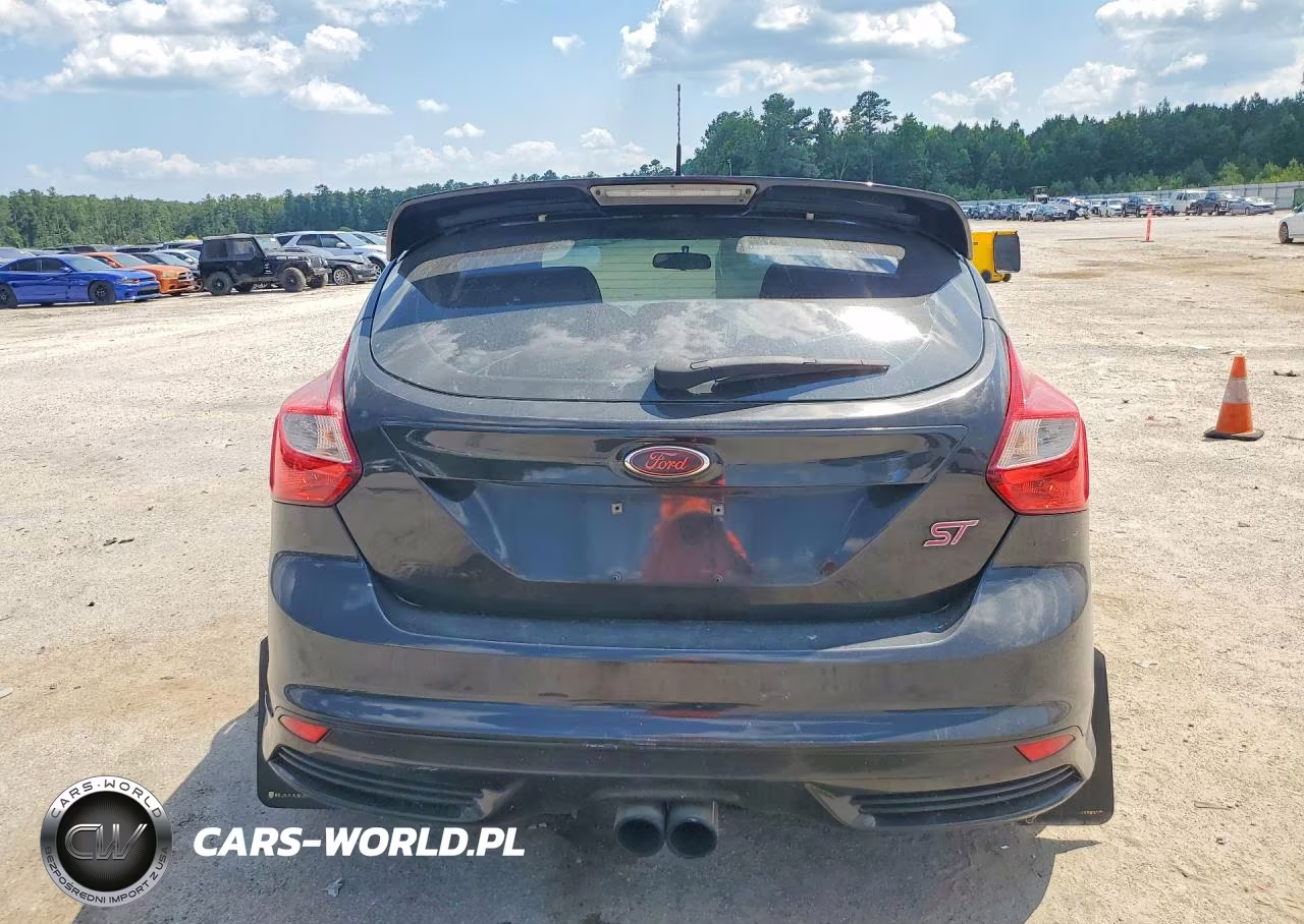 2014 Ford Focus St VIN:1FADP3L95EL401600 - 6