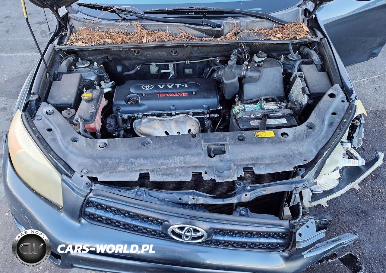 2006 Toyota Rav4 Sport VIN:JTMZD32V566020031 - 12