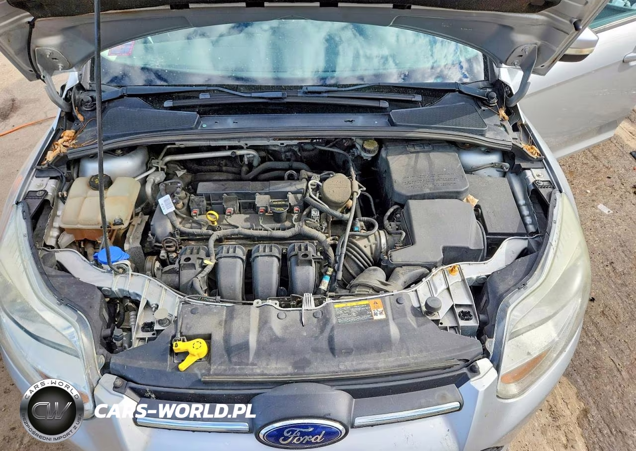 2014 Ford Focus Se VIN:1FADP3K23EL157613 - 11