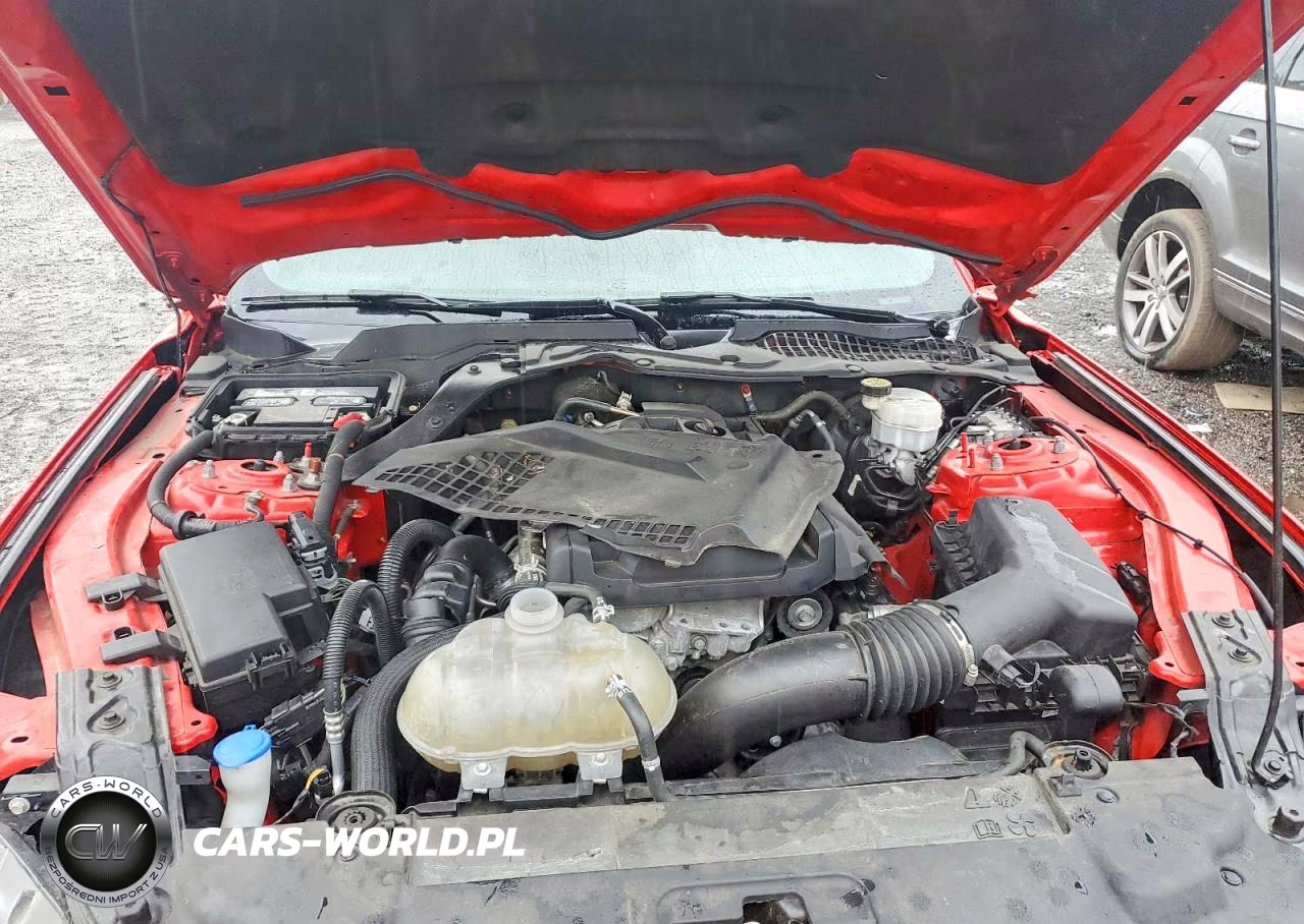 2020 Ford Mustang VIN:1FA6P8TH2L5186952 - 11