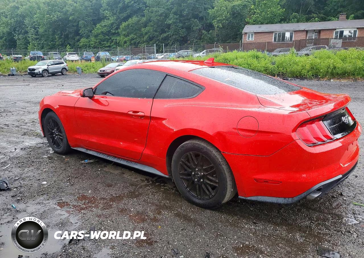2020 Ford Mustang VIN:1FA6P8TH2L5186952 - 2