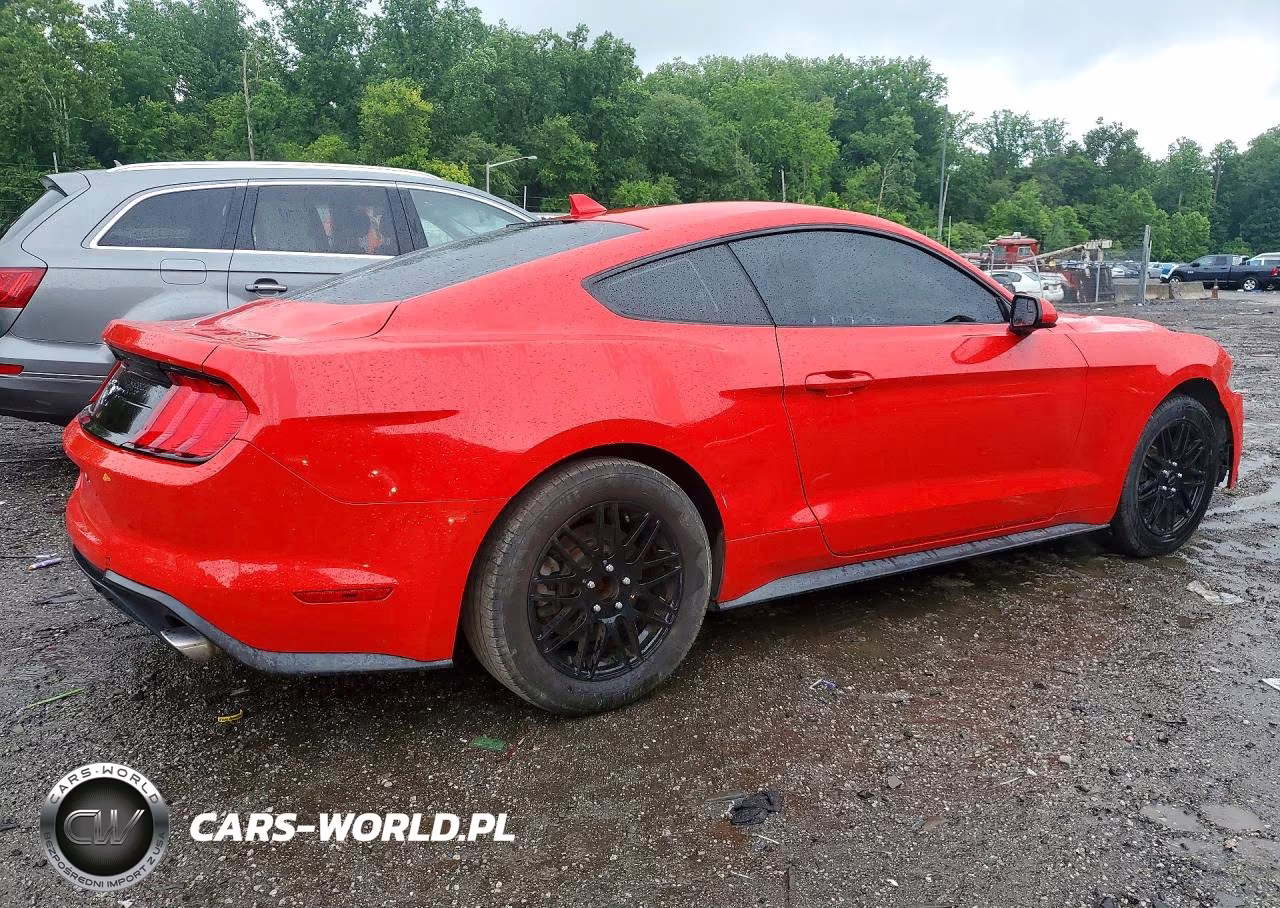 2020 Ford Mustang VIN:1FA6P8TH2L5186952 - 3
