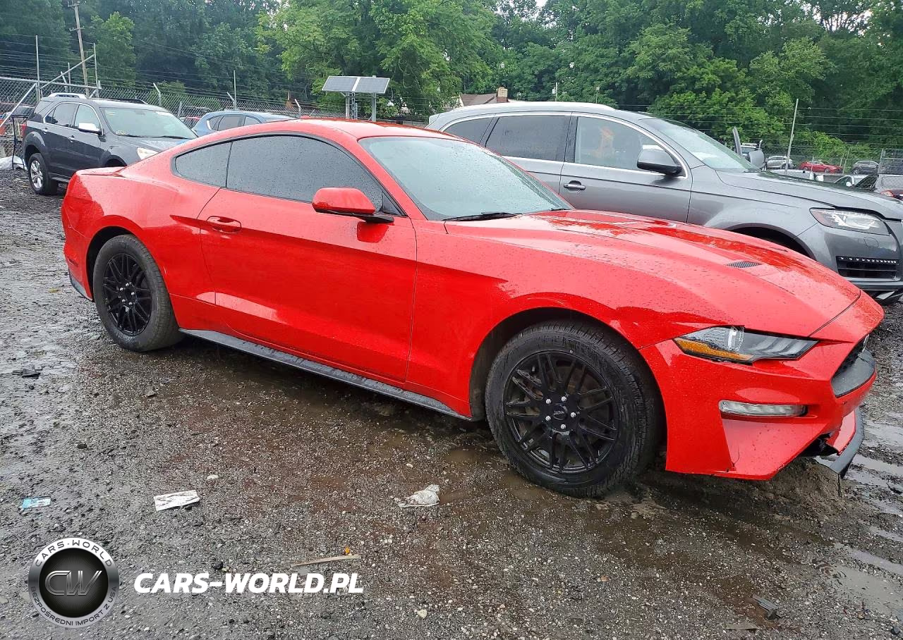 2020 Ford Mustang VIN:1FA6P8TH2L5186952 - 4
