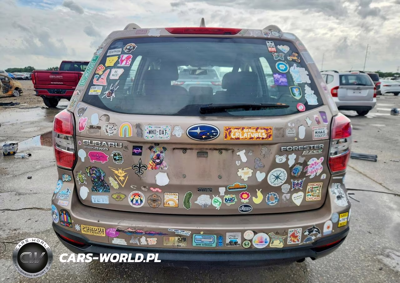 2016 Subaru Forester 2.5I VIN:JF2SJABC1GH411035 - 6