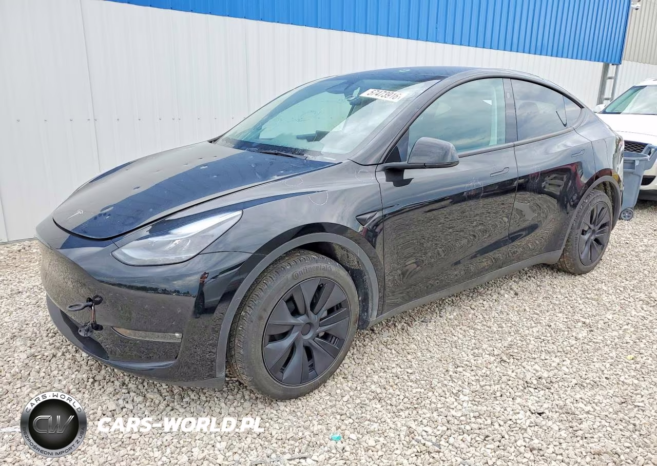 2025 Tesla Model Y VIN:7SAYGDEE4SF282824 - 1